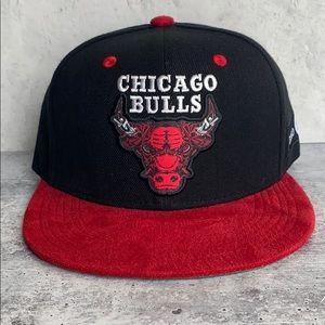 Chicago Bulls Artist Series Hat
